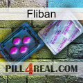 Fliban 37